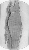 506-5