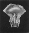 506-1
