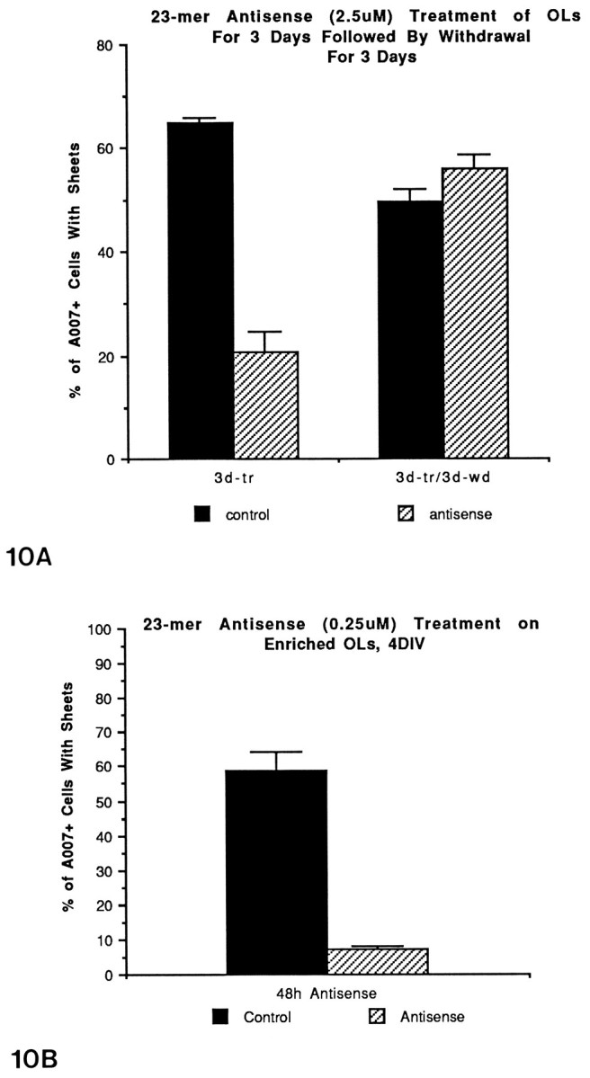 Fig. 10.