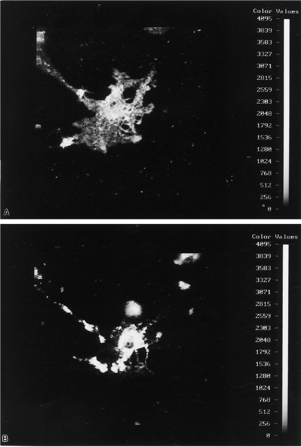 Fig. 9.