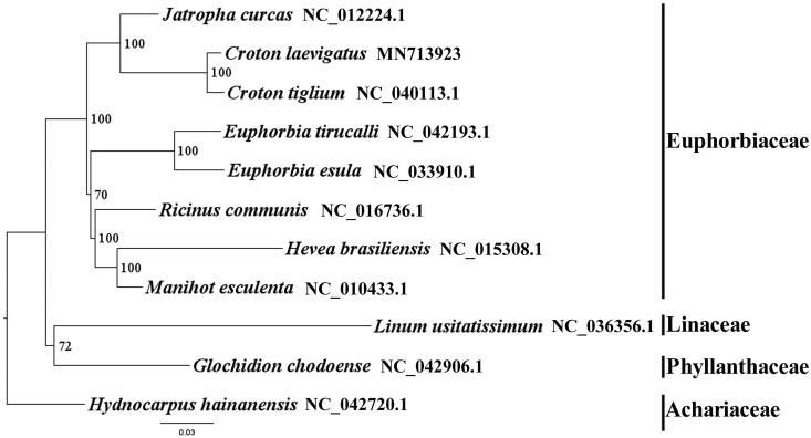 Figure 1.