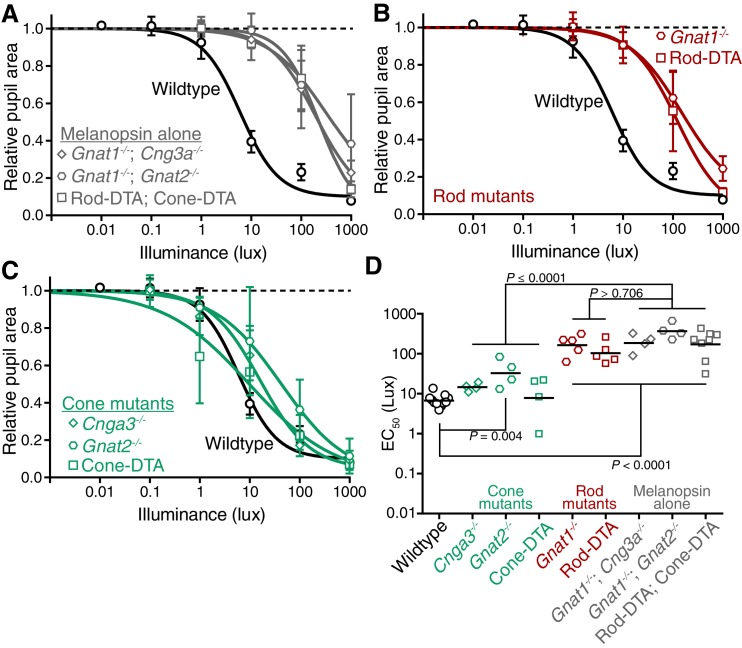 Figure 4—figure supplement 3.