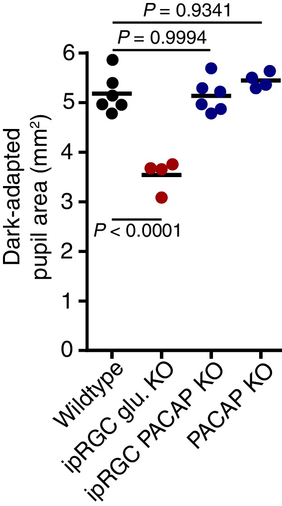 Figure 3—figure supplement 1.