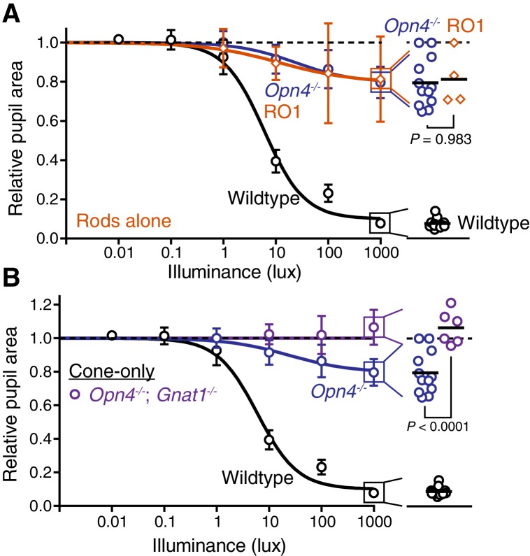 Figure 4—figure supplement 4.