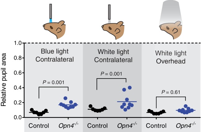 Figure 2—figure supplement 3.