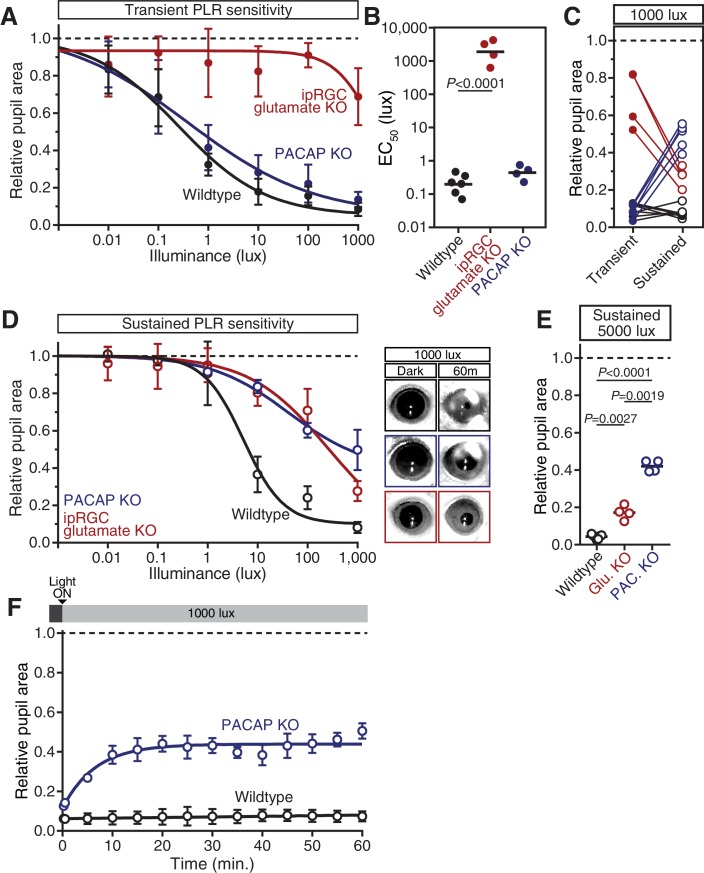 Figure 5—figure supplement 1.