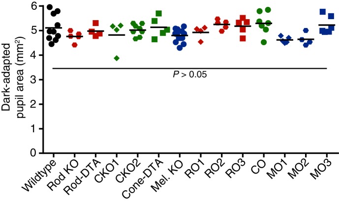 Figure 2—figure supplement 1.