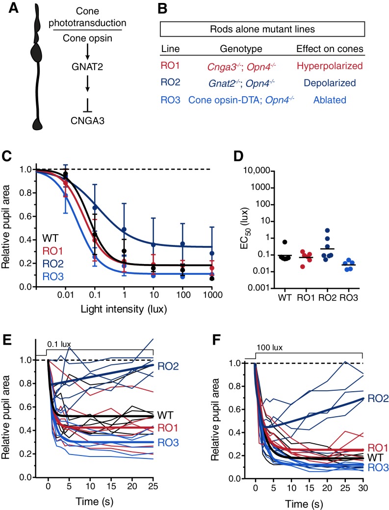 Figure 2—figure supplement 4.