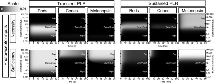 Figure 6—figure supplement 1.