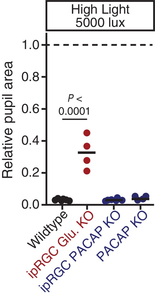 Figure 3—figure supplement 3.