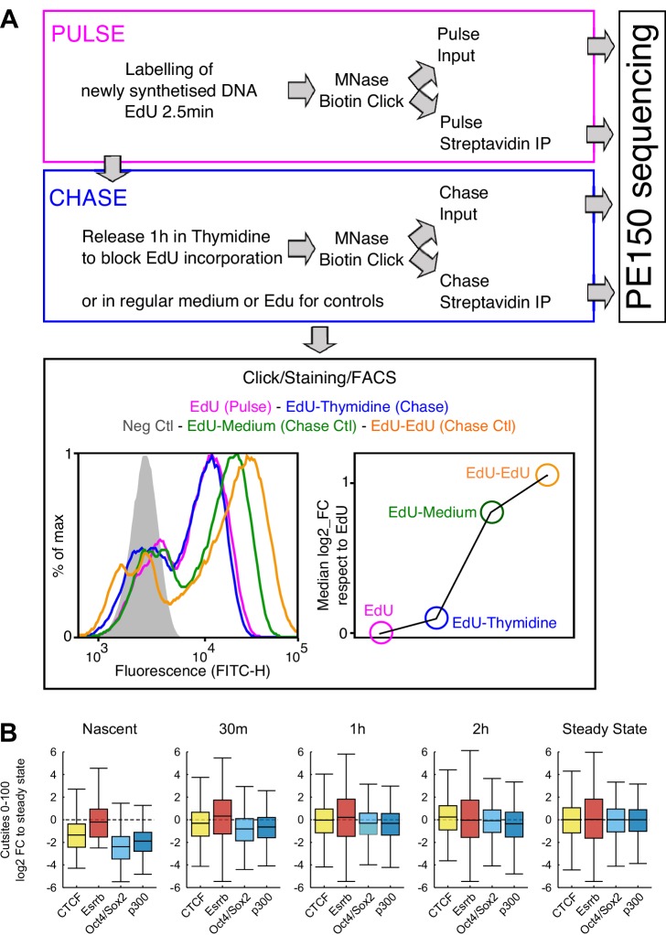 Figure 4—figure supplement 1.