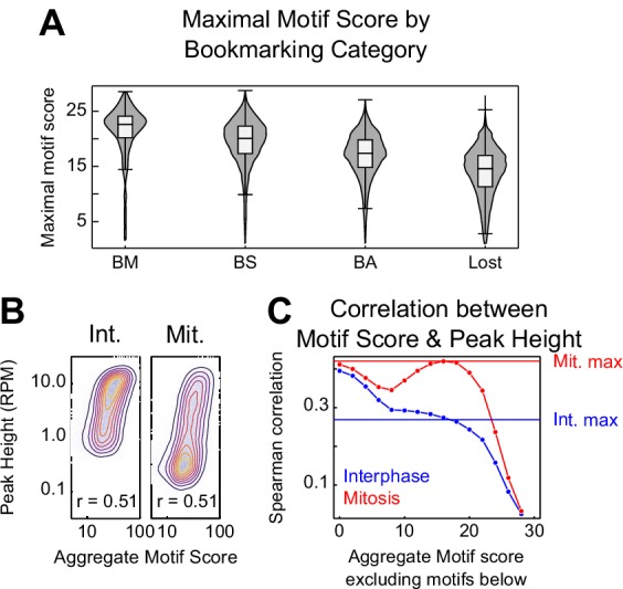 Figure 5—figure supplement 3.