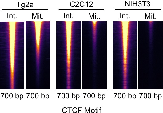 Figure 5—figure supplement 4.