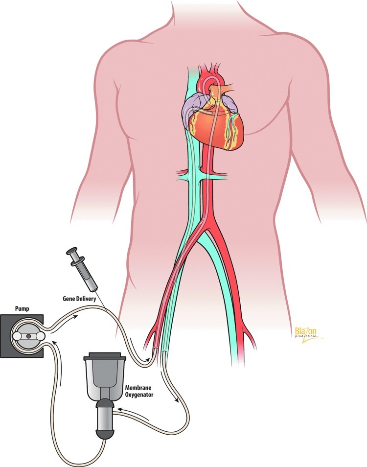 FIG. 8.