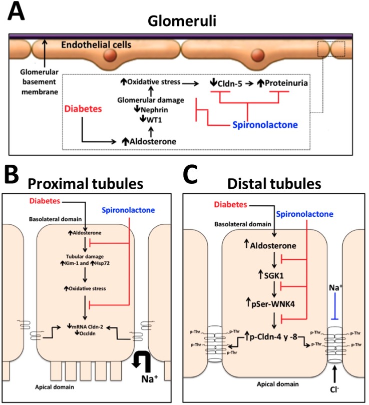 Fig 10