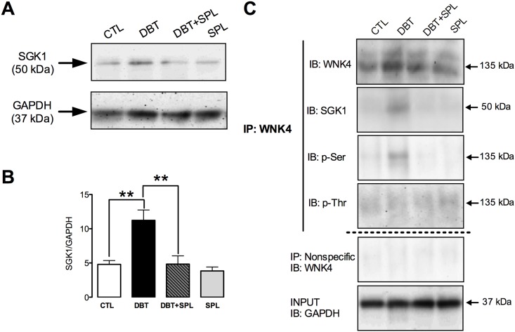 Fig 9