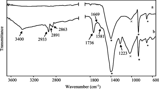 Fig. 11