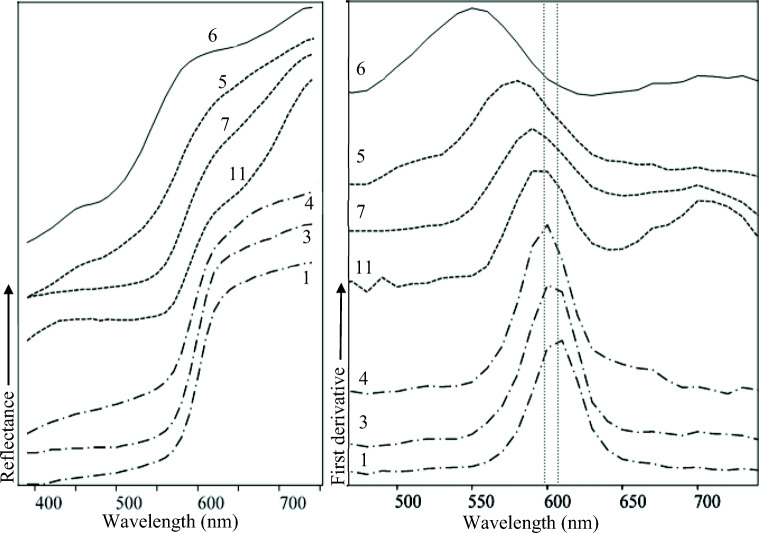 Fig. 12