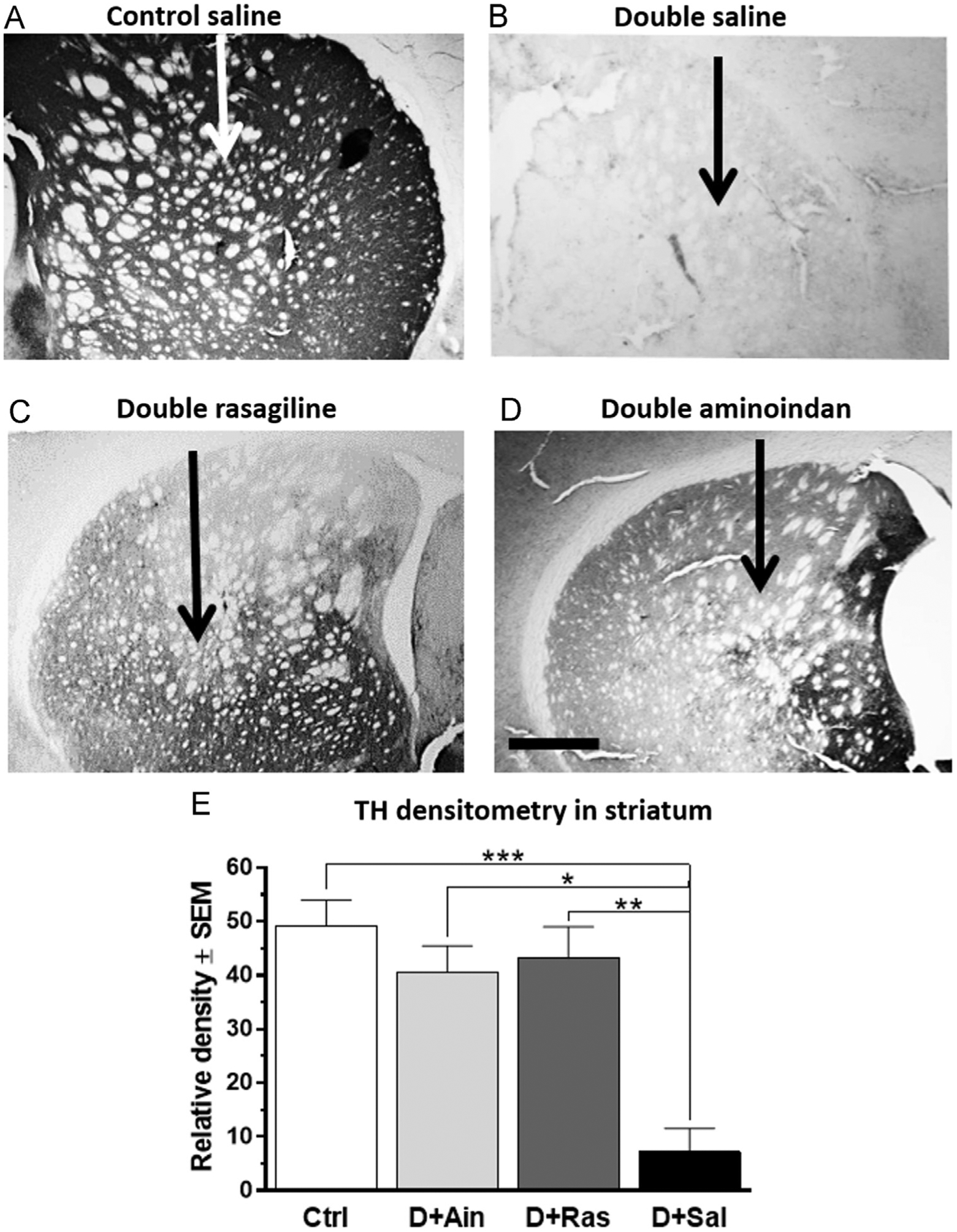 Fig. 7 –