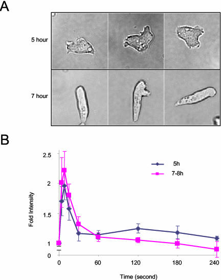 Figure 5.