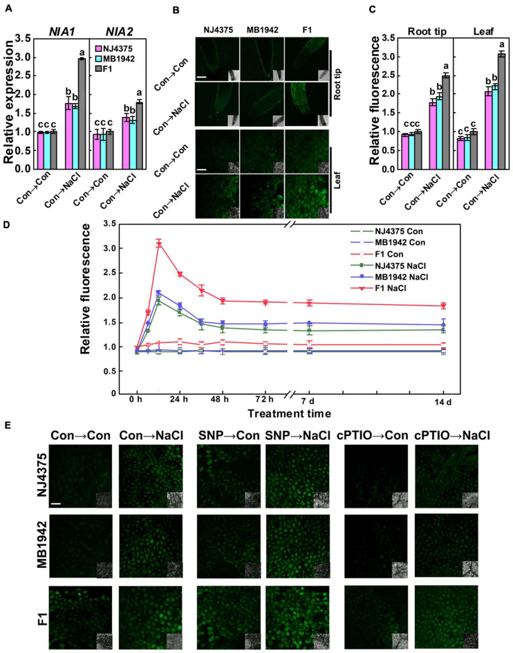 FIGURE 4