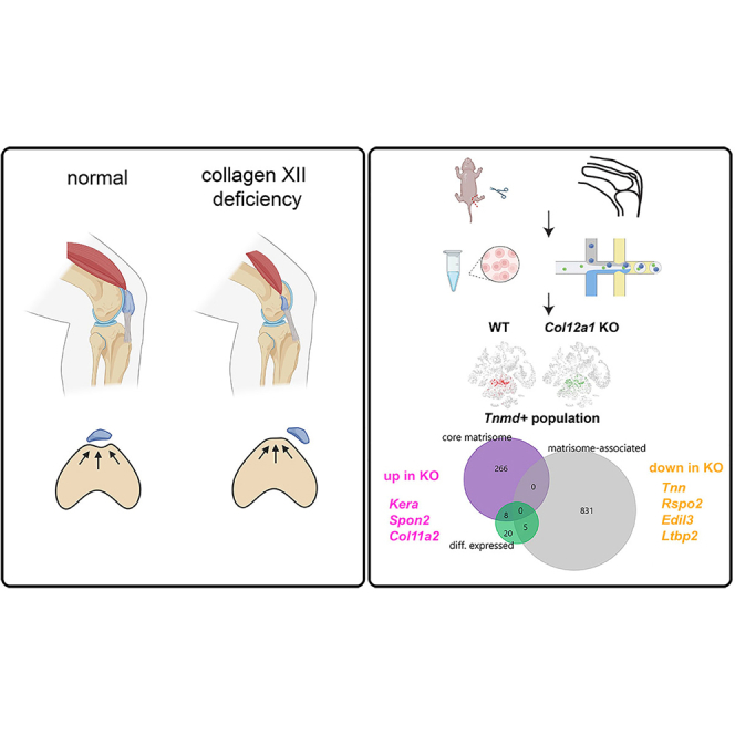 graphic file with name fx1.jpg