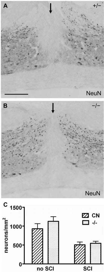 Fig. 12