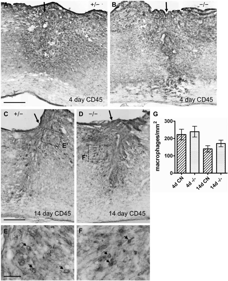 Fig. 13