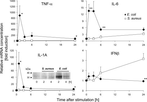 FIG. 2.