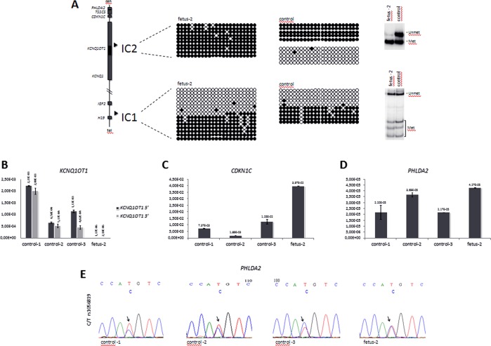 Figure 2