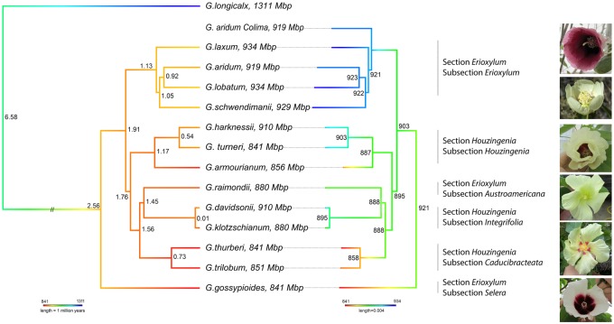 Fig. 2.