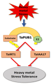 Figure 7