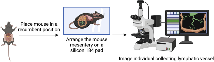 Figure 5