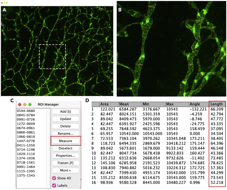 Figure 19