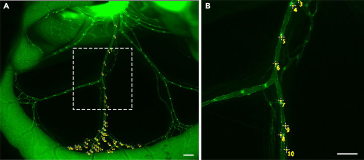 Figure 17