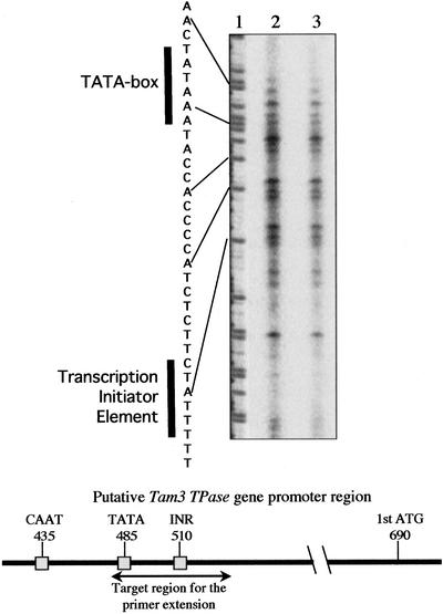 Figure 2.