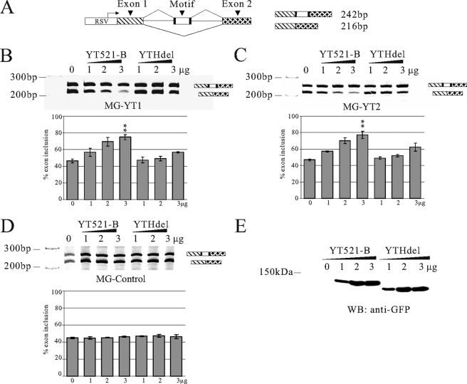 FIGURE 4.