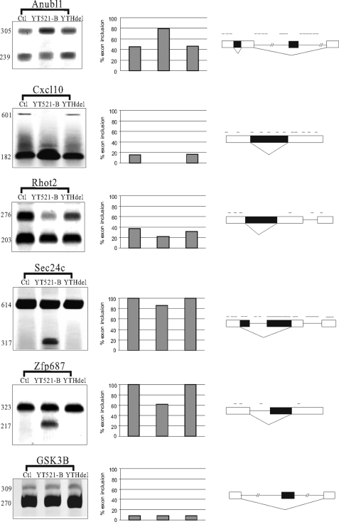 FIGURE 7.