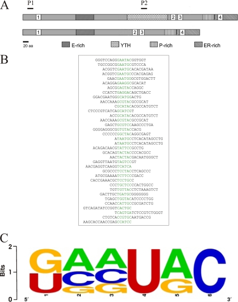 FIGURE 1.