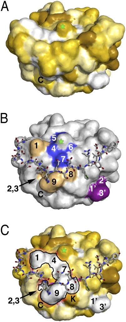 Fig. 3.