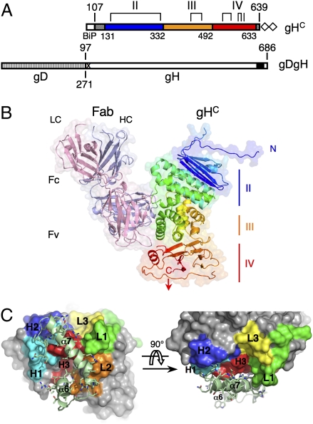 Fig. 1.