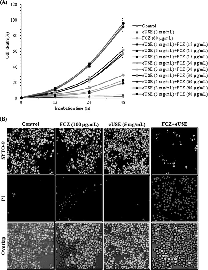 FIG 2