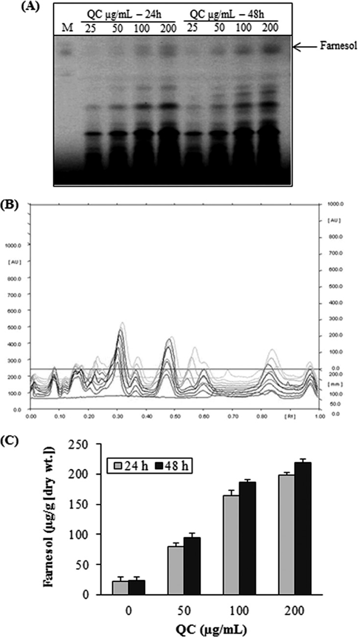 FIG 4