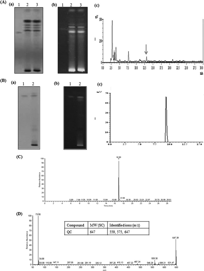 FIG 3