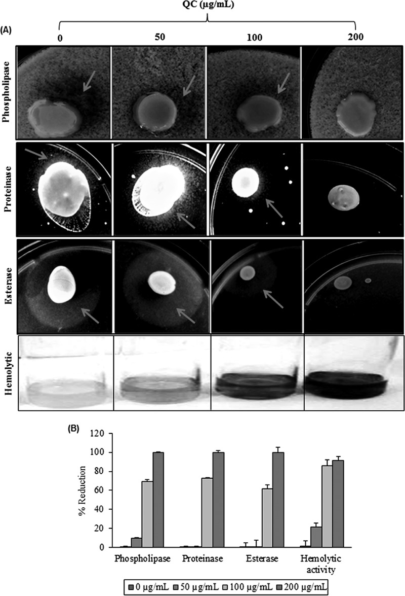 FIG 6