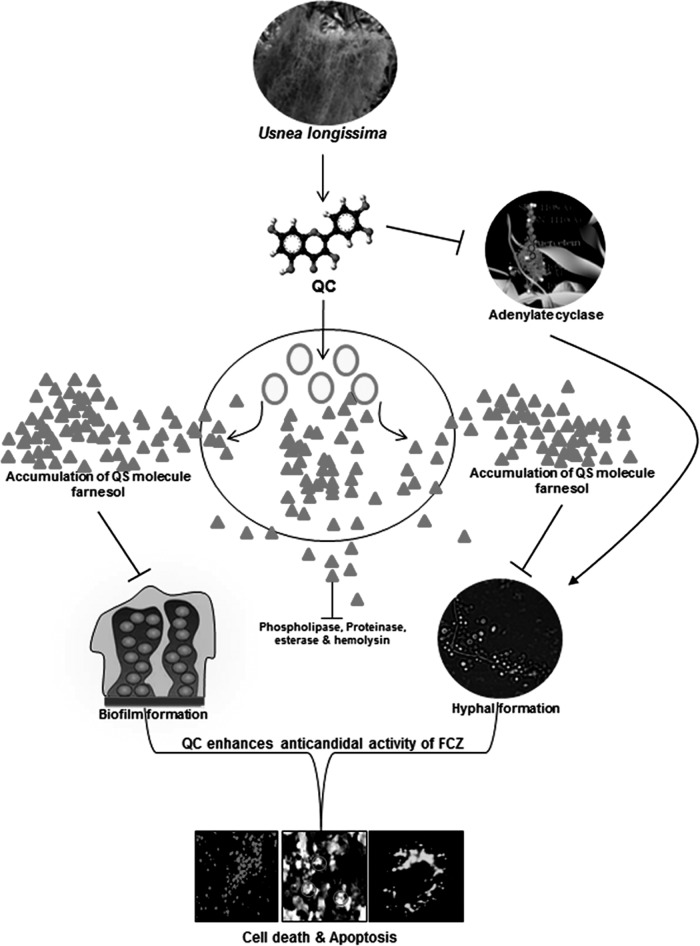 FIG 10