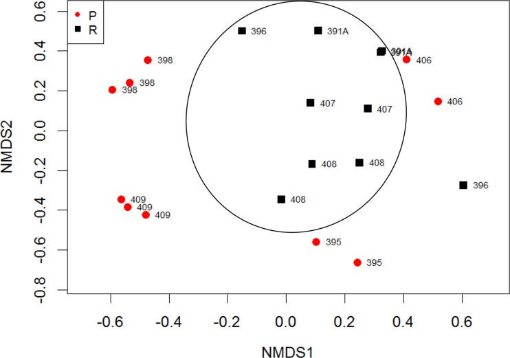 FIG 4 