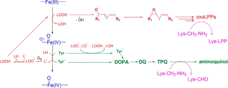 Figure 8.