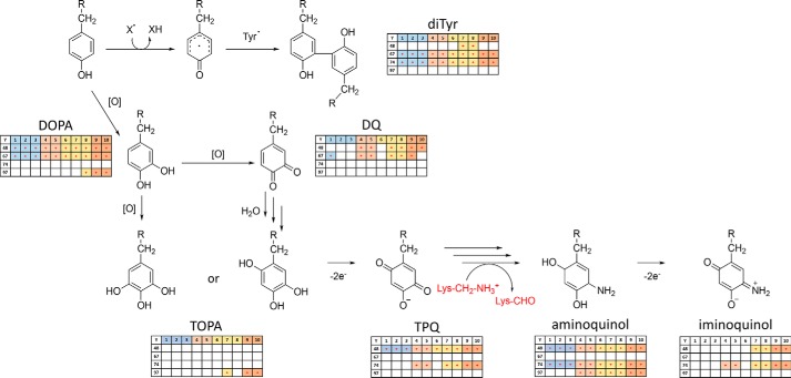 Figure 6.