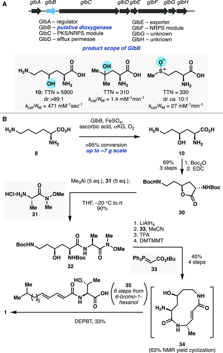 Scheme 2